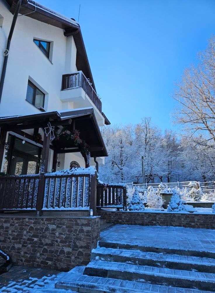 Pensiunea Izvorul Linistii Radaseni Exterior photo